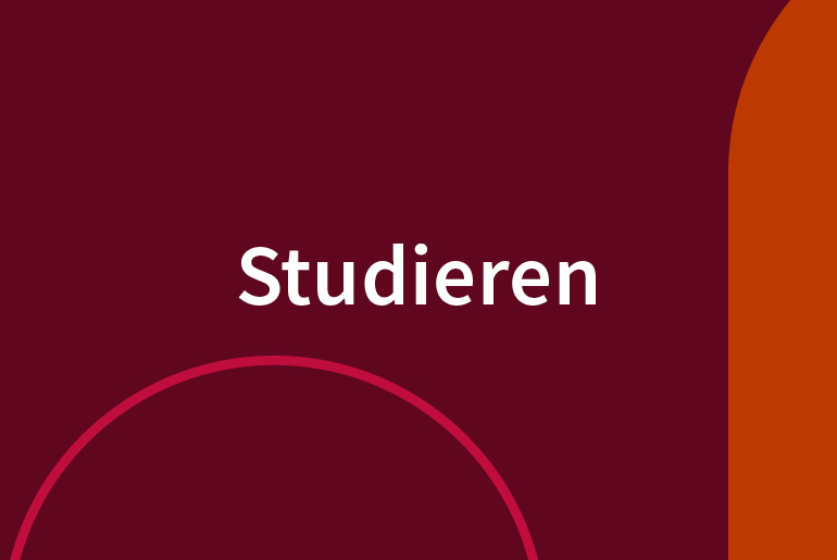 Politikwissenschaft studieren