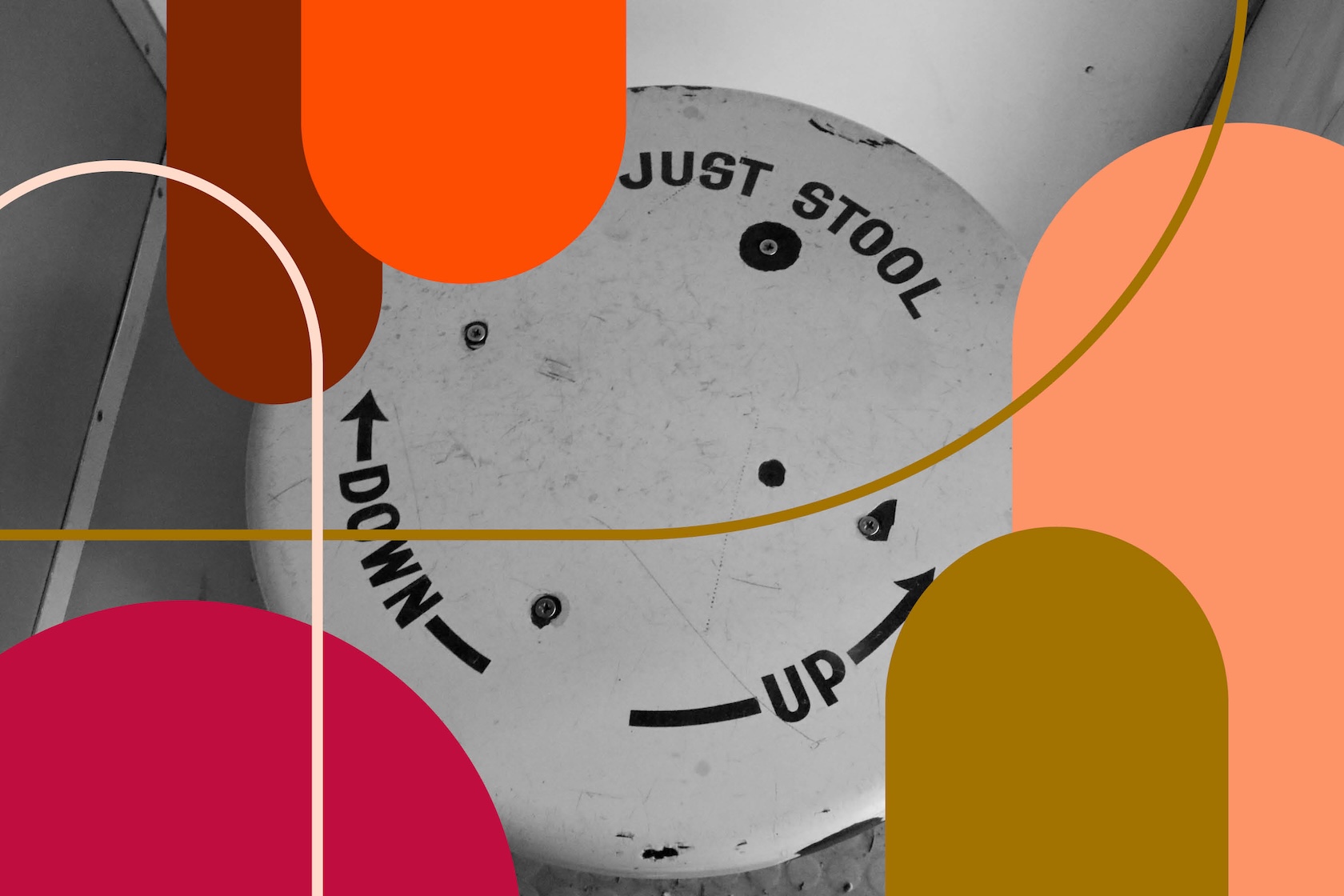 Bachelor of Arts in Political Science